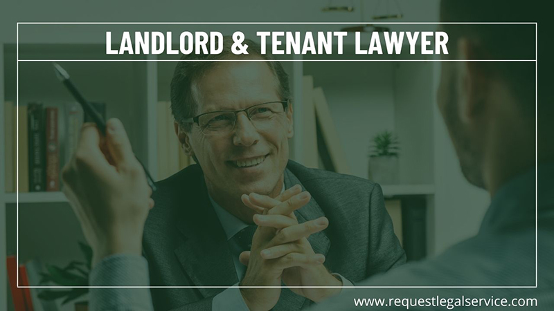 landload/tenant lawyer